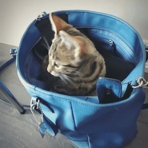 Meet your Posher, Michelle